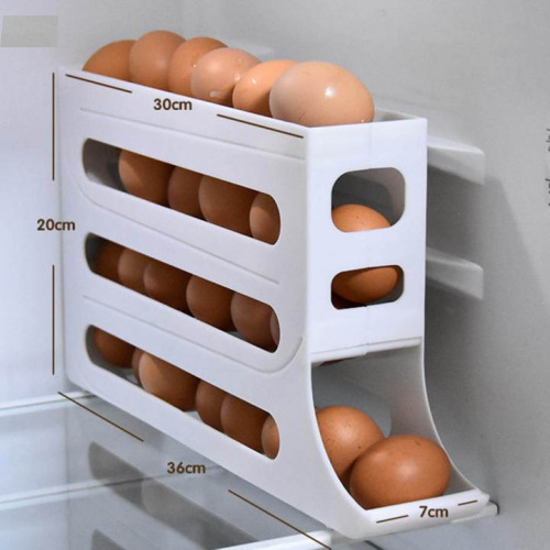 egg tray 