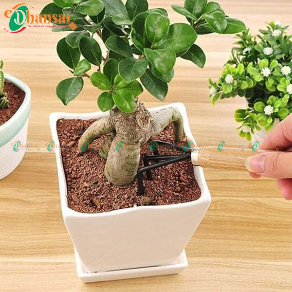 Gardening Tools Set (3 Tools)